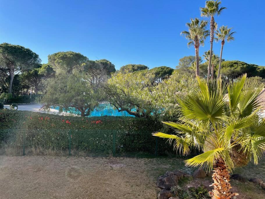 Bel Appartement Vue Sur Piscine 1 Chambre Fermee Et 1 Espace Cabine แซ็งต์-ราฟาเอล ภายนอก รูปภาพ